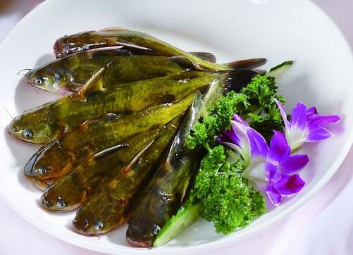 如何选购野生黄辣丁?选购野生黄辣丁的小技巧