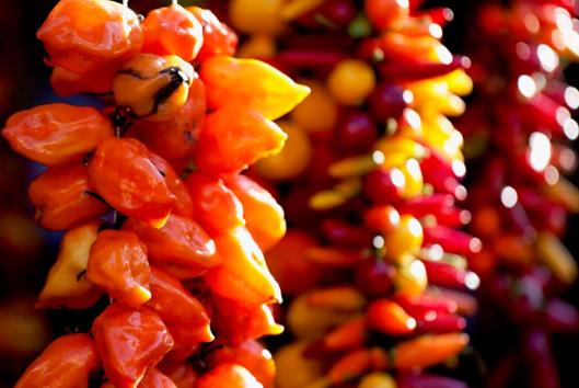 如何挑选到最辣的辣椒?什么样的辣椒最辣