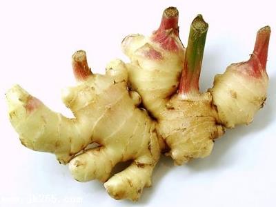 生姜发芽了还可以吃吗?发芽的生姜能吃吗