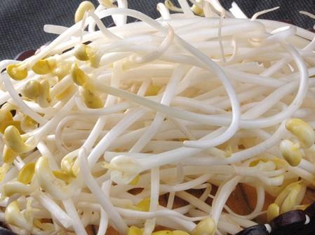 如何识别化学豆芽?化学豆芽怎么鉴别