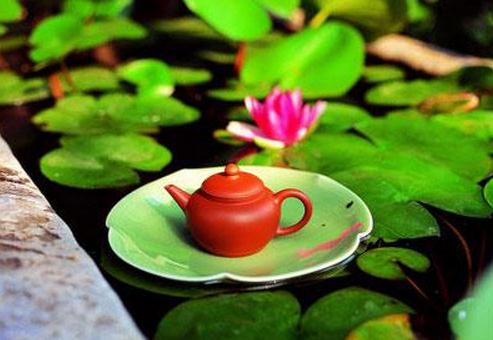 怎么喝荷叶茶才能健康减肥?