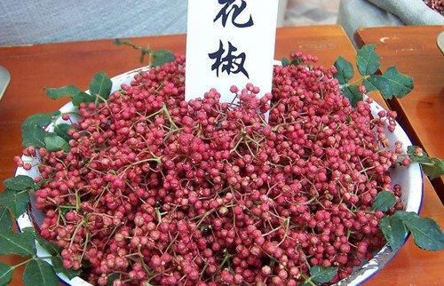 如何识别有毒花椒?毒花椒的鉴别方法