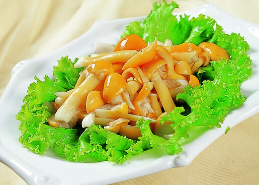 滑子菇豆腐羹的做法-滑子菇的营养价值