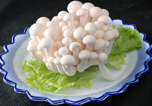 白玉菇的做法-白玉菇的营养价值