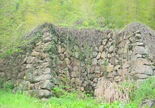 如何看墓地风水?墓地风水学知识