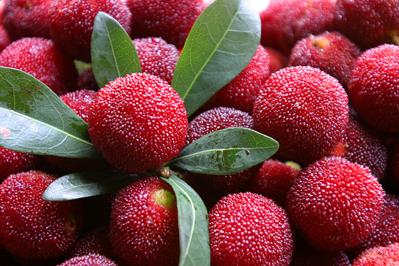 杨梅酒泡多久可以喝？自制杨梅酒的做法和功效