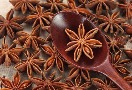 大料的小妙用-做菜用大料的小窍门