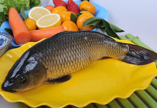 如何烹饪鲤鱼?鲤鱼怎么做好吃