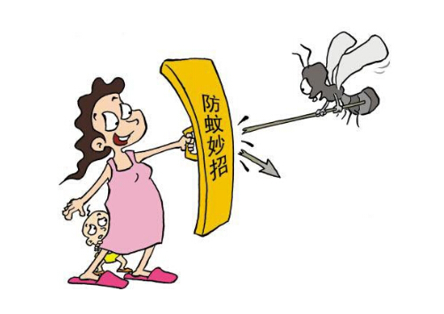 家居防蚊有哪些措施？夏季防蚊植物