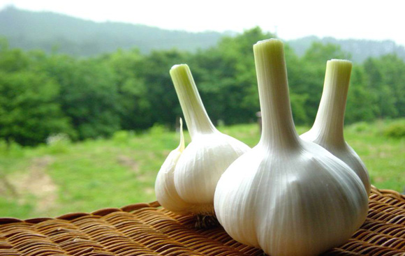 大自然的馈赠,天然防胃癌这食物盘点