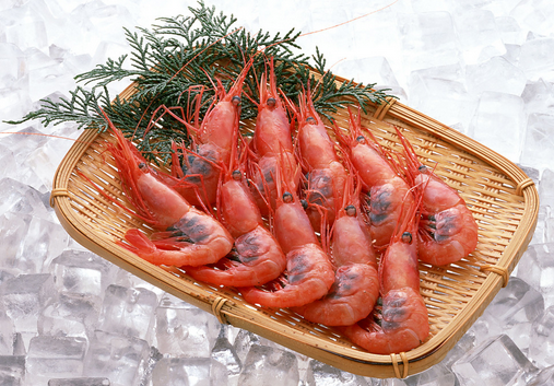 海虾的家常做法-海虾和河虾的区别
