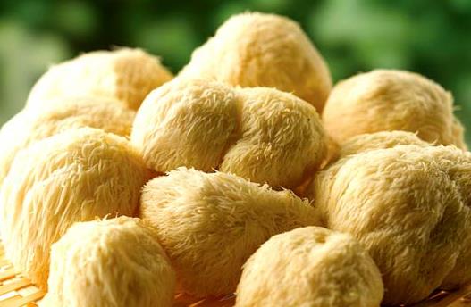 如何泡发猴头菇?猴头菇的泡发小窍门