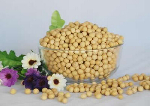 醋泡黄豆的功效-醋泡黄豆能减肥吗？