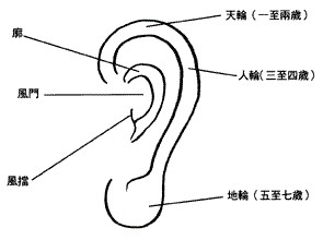 耳朵面相算命图解大全-从耳朵看一生运势吉凶