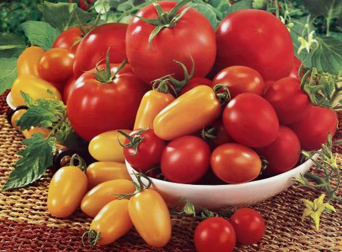 什么时候吃番茄减肥最好？吃番茄的注意事项