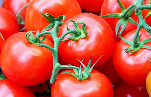 吃西红柿能减肥吗？西红柿怎么吃减肥效果最好