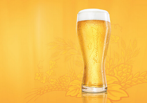 啤酒洗头的好处-过期的啤酒有什么作用？