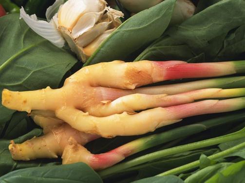 生姜擦头皮的功效与作用:生姜擦头皮可以让头发再生吗