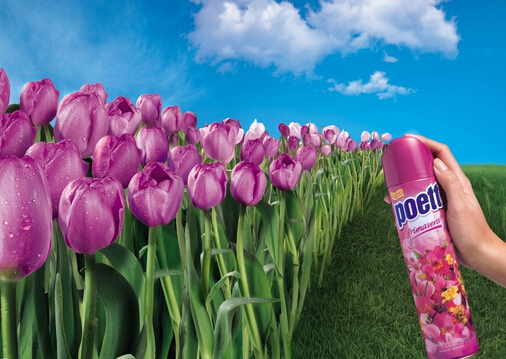 孕妇可以使用空气清新剂吗?宝宝可以使用空气清新剂吗