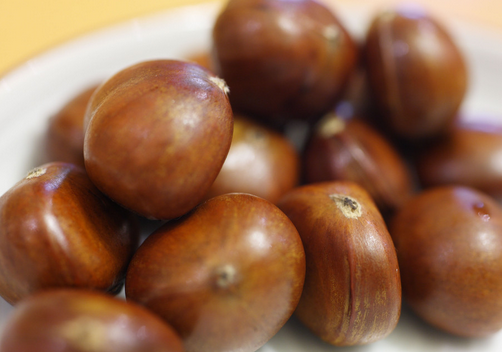 孕妇能吃板栗吗?板栗的营养价值
