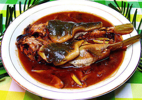 孕妇能吃河豚吗-孕妇吃河豚鱼的注意事项