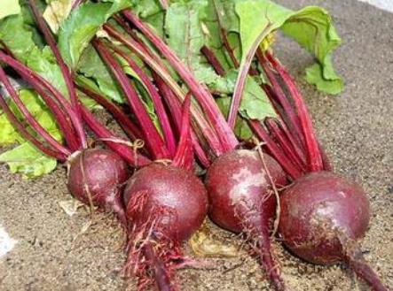 孕妇可以吃甜菜吗？孕妇吃甜菜有什么好处
