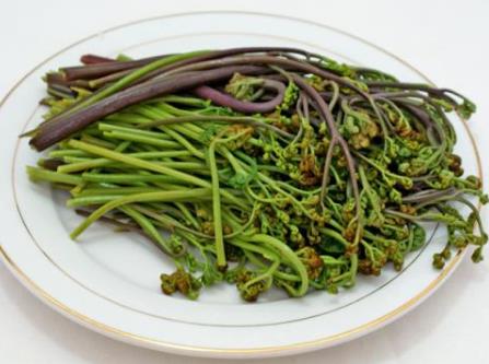 孕妇吃蕨菜有什么好处?孕妇吃蕨菜的做法