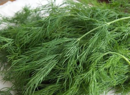 最高钠蔬菜:茴香、芹菜、茼蒿,不用放盐。