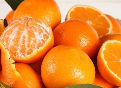 宝宝能吃橘子吗?宝宝桔子吃多了会上火吗