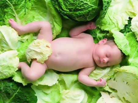 婴儿能吃纤维素吗？纤维素的作用