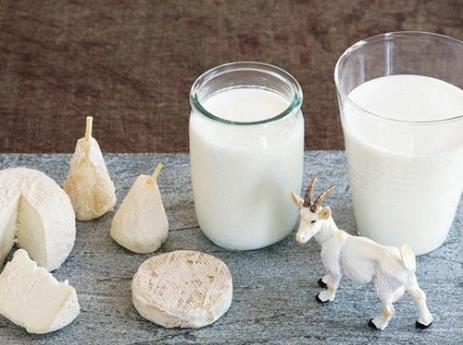 羊奶粉和牛奶粉哪个好？羊奶粉和牛奶粉的区别