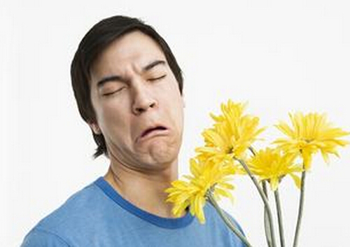 抗过敏鼻炎喝这两款茶效果好-鼻敏感严重怎么办?