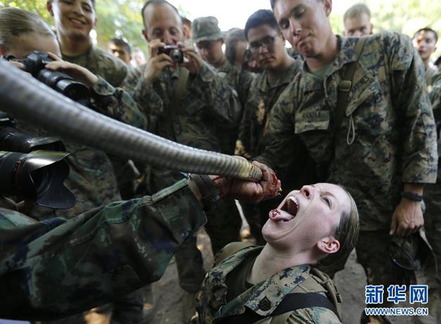 2013“金色眼镜蛇”联合军演演习，美军士兵生吃眼镜蛇血组图