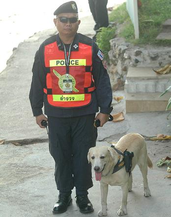 泰国警方为加强攻击力给警犬配枪，警犬专用手枪肩套(组图)
