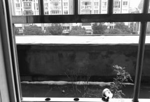 大年初一窃贼剪防盗窗不锈钢管入室盗窃，偷走5岁男童压岁钱留下红包(图)