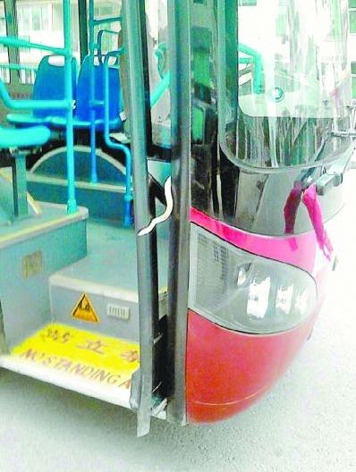 武汉公交车行驶途中惊现1米长毒蛇吓坏乘客，民警捉走毒蛇并放生