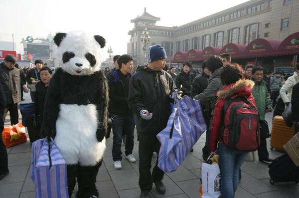 行为艺术？旅客穿熊猫玩偶服扮成大熊猫体验春运遭围观