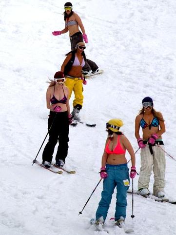 美丽冻人:比基尼美女穿着比基尼去滑雪,不怕寒冷不怕走光