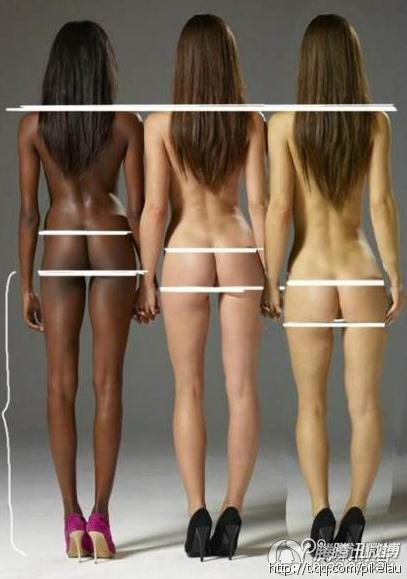 黑人白人黄种人身材的区别，黑白黄种女性身材比例对比，大家喜欢哪种