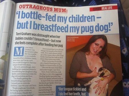 美国母亲母乳喂养宠物狗“蜘蛛”两年，国内90后小妹挤奶喂小狗