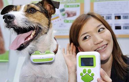 狗语能翻译成人话？狗语翻译机网上热卖，狗语翻译机有用吗