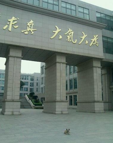 “学霸狗”电子科技大学蹭课走红,最爱英语和概率网友力挺读研