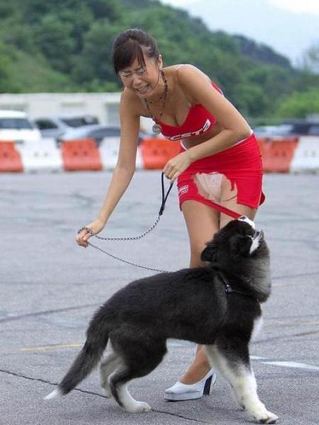 邪恶内涵图~超短裙美女花容失色啊,我想知道结局如何