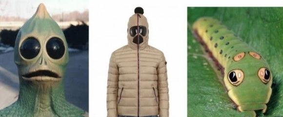 谷歌(Google)牌羽绒服Cosplay，实为页面有Goggle字样闹乌龙