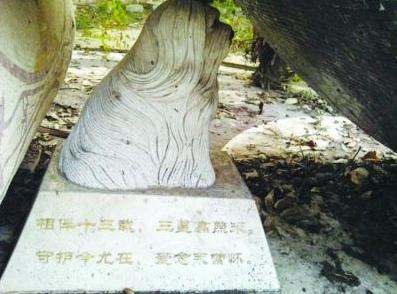 网曝紫金山麓现史上最贵“天价”狗墓，官方回应：狗墓系雕像遭业主曲解