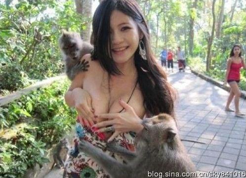 盘点胸前被“扒光”事件:喂奶姐、猴抓妹、张柏芝照片