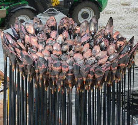 伦敦奥运圣火熄灭：奥运主火炬居然熄灭了8小时