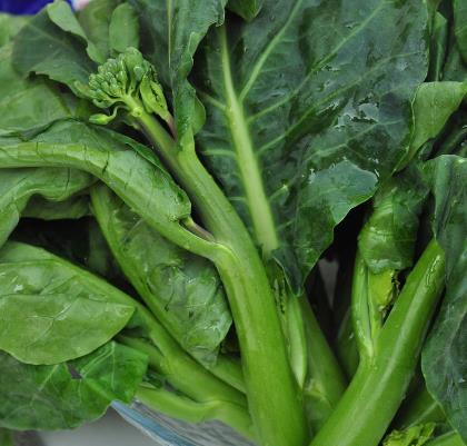 孕妇能吃芥蓝吗？孕妇吃芥蓝的食用禁忌