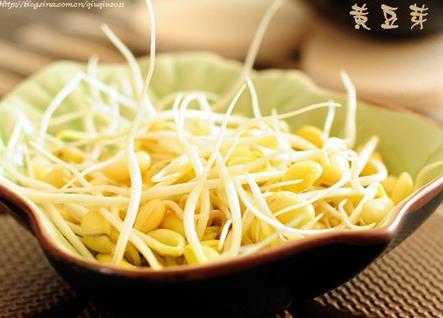 孕妇能吃黄豆芽吗?孕妇吃黄豆芽的做法