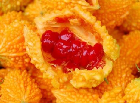 孕妇能吃赖葡萄吗?孕妇吃赖葡萄有什么好处